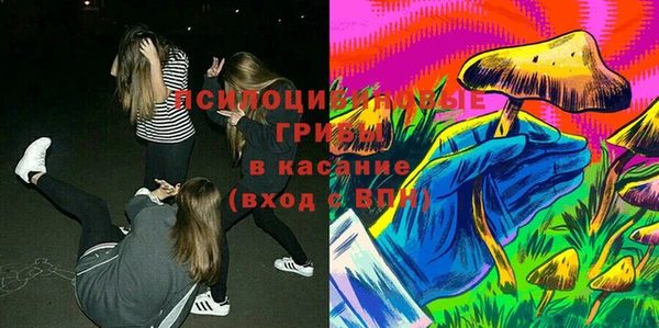 a pvp Медногорск