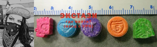 шишки Белая Холуница