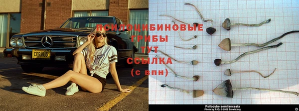 a pvp Медногорск