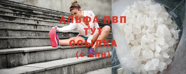 шишки Белая Холуница